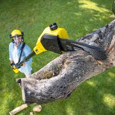 Best Tree Mulching  in Homeland, CA